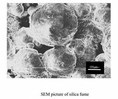 SEM picture of silica fume