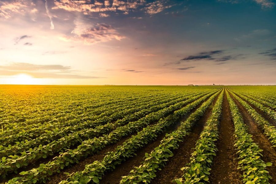 Silica Fume Use in Agriculture